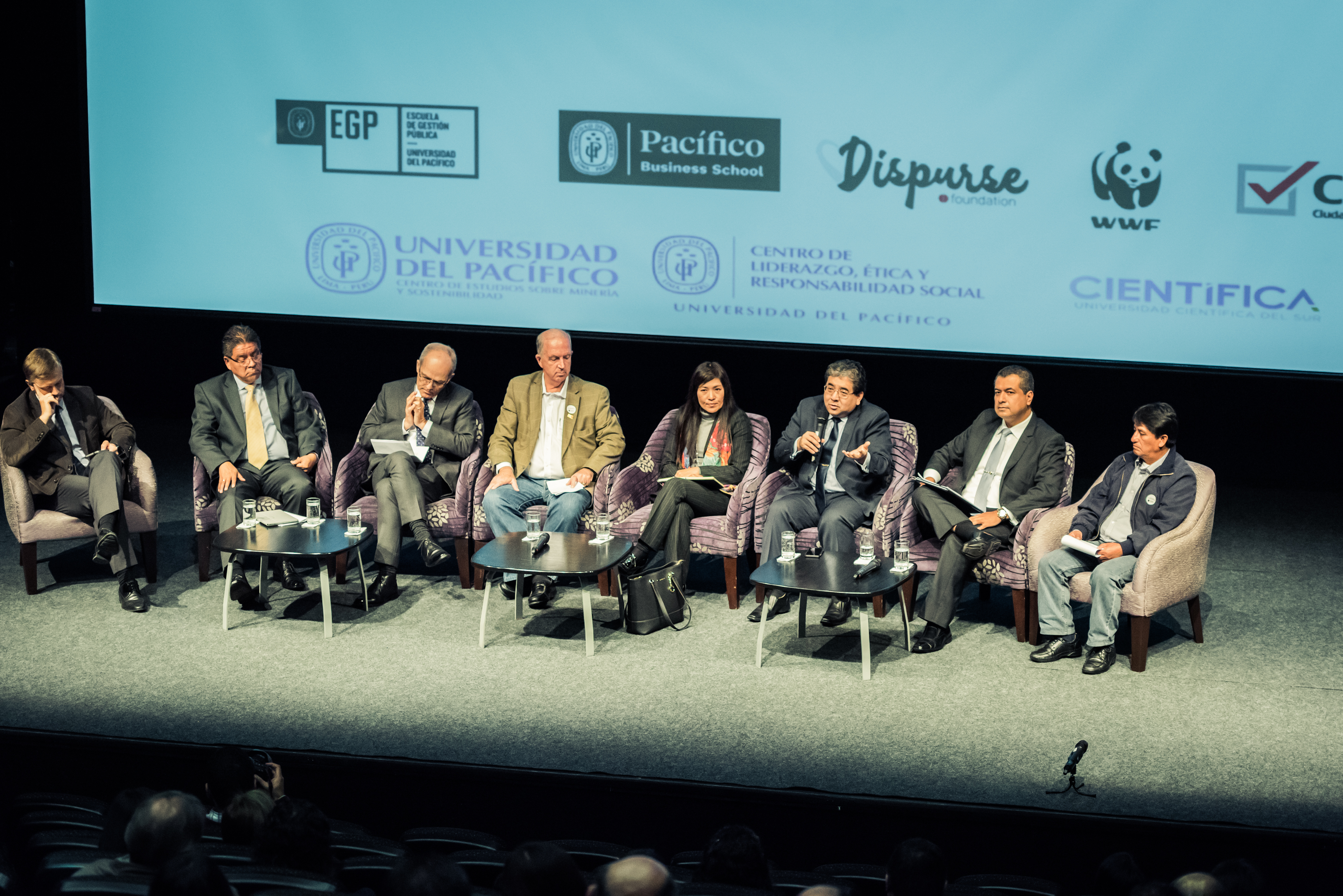 Dispurse organiserade forum för hållbar utveckling